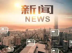 未来高管孵化计划：小米卢伟冰宣布7-11年打造技术精英与总经理新星