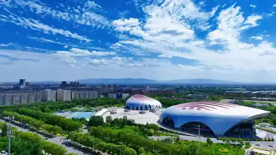 塞上江南,枸杞之乡中宁惊艳亮相《300秒看家乡》