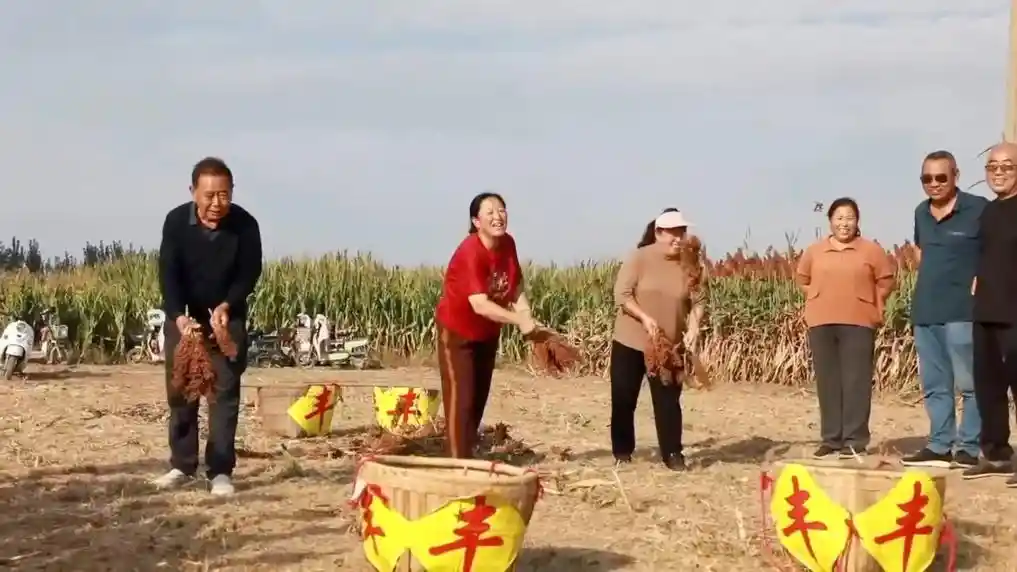 金秋文旅新势力:消费场景焕新点燃经济新动能