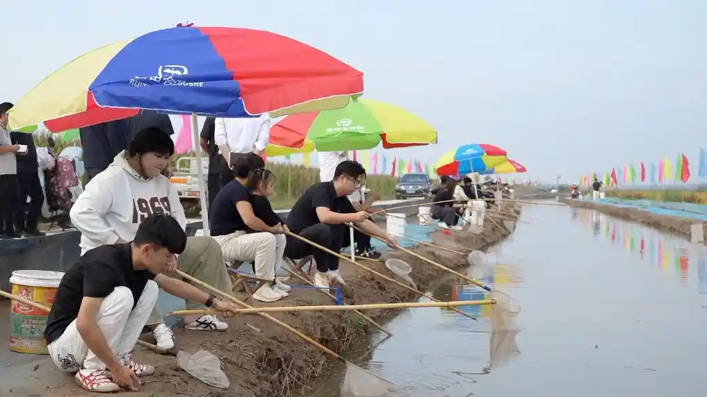 金秋文旅新势力:消费场景焕新点燃经济新动能
