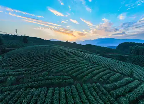 沫若故里·潮涌沙湾——乐山沙湾惊艳亮相《300秒看家乡》