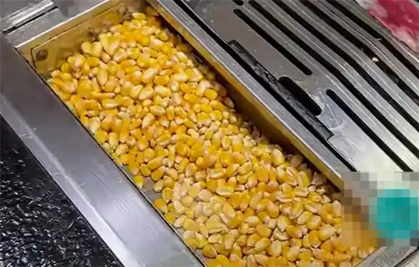 玉米粒成燃料？专家：粮食安全不容忽视