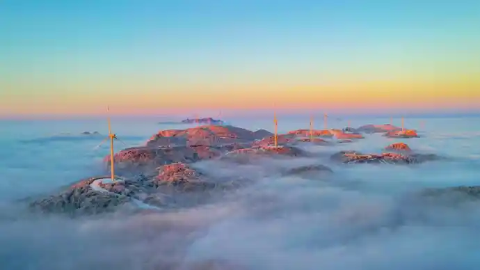 云上茶香飘全国 五峰亮相《300秒看家乡》