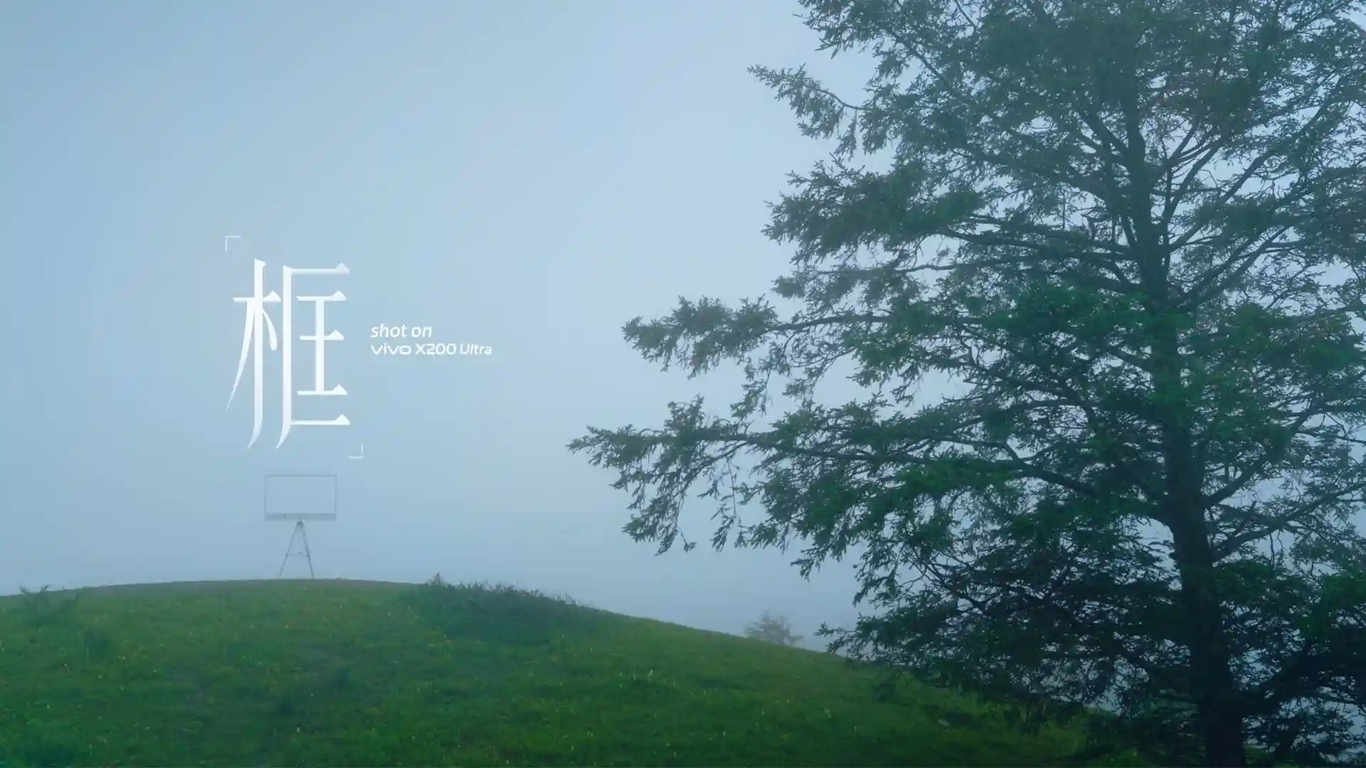 《框住未来:vivo X300 Pro影像革命斩获2025金旗奖内容营销金奖》