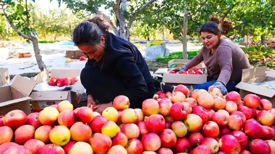 八卦城现世 喀拉峻惊艳亮相《300秒看家乡》
