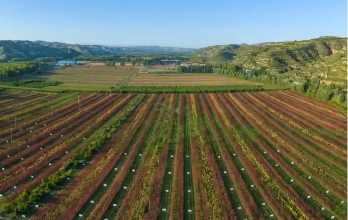 山水有韵 静乐出圈