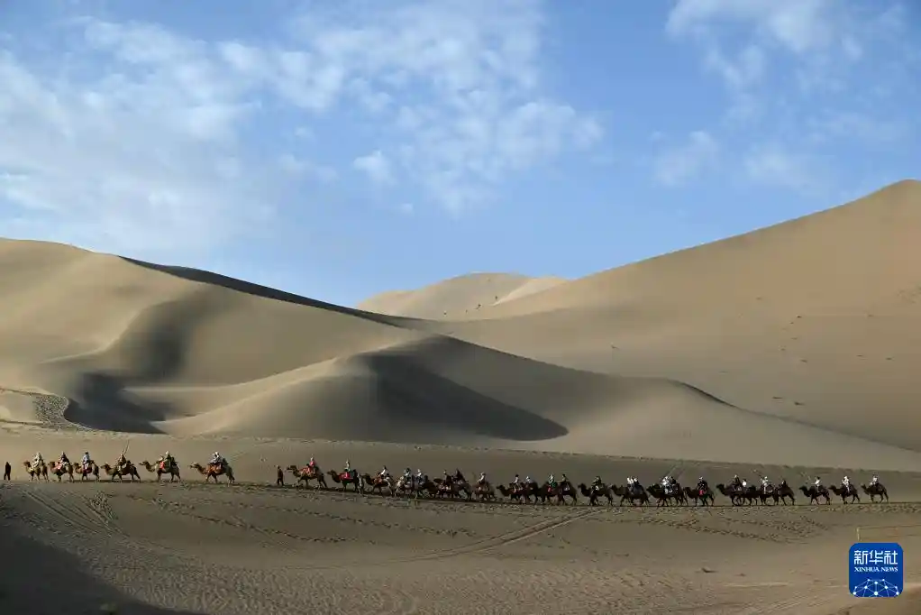 暑期热浪中的旅行新势力