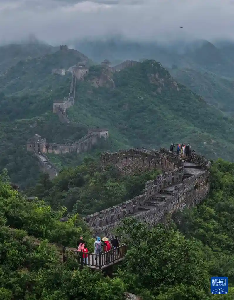 暑期热浪中的旅行新势力