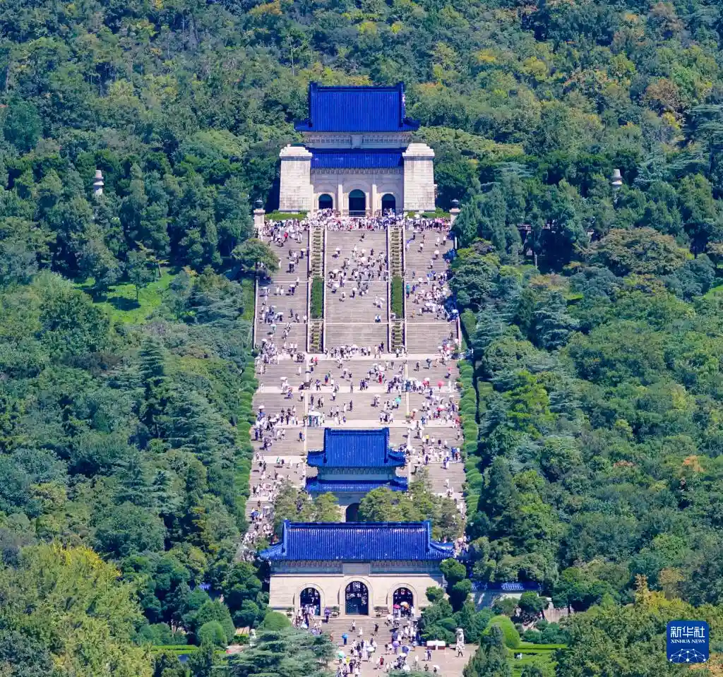 暑期热浪中的旅行新势力