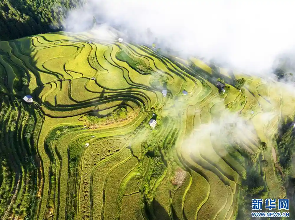 云海漫卷月亮山，贵州从江现梦幻奇景