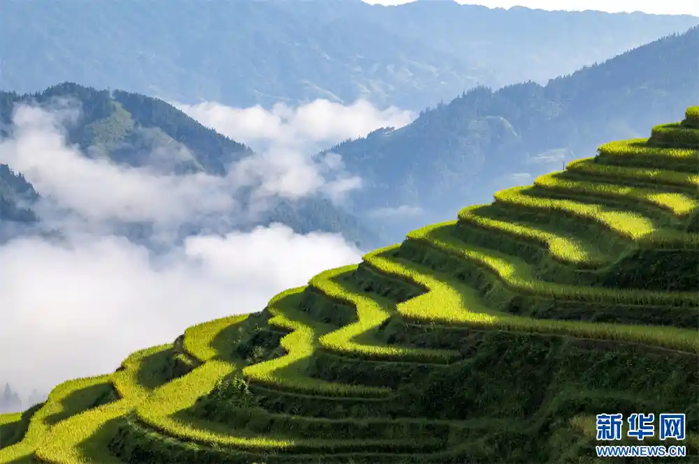 云海漫卷月亮山,贵州从江现梦幻奇景