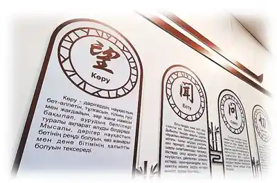 洋中医扎针引热议：上合大家庭里的传统医术新体验