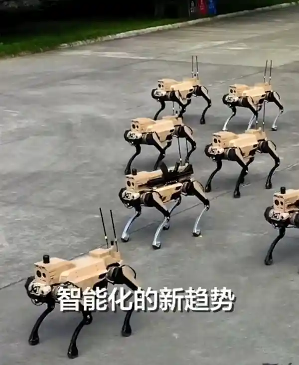 机器狼突袭战场！中国无人作战新纪元开启