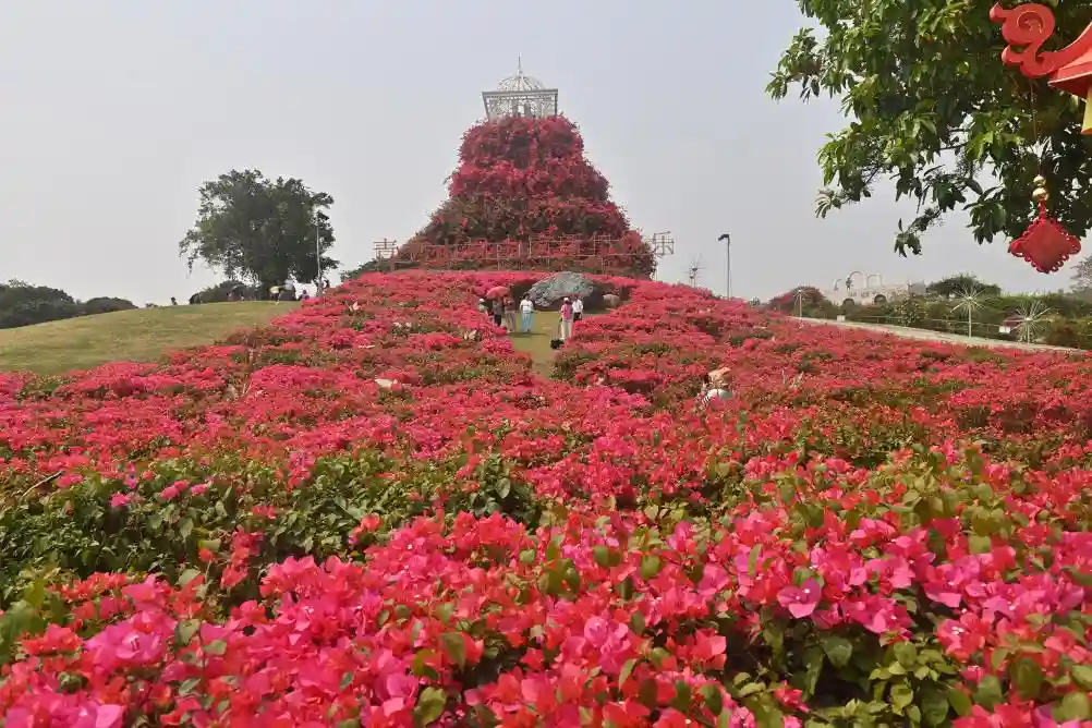 四季如春不打烊！这座城把人间四月天过成了全年限定爆款