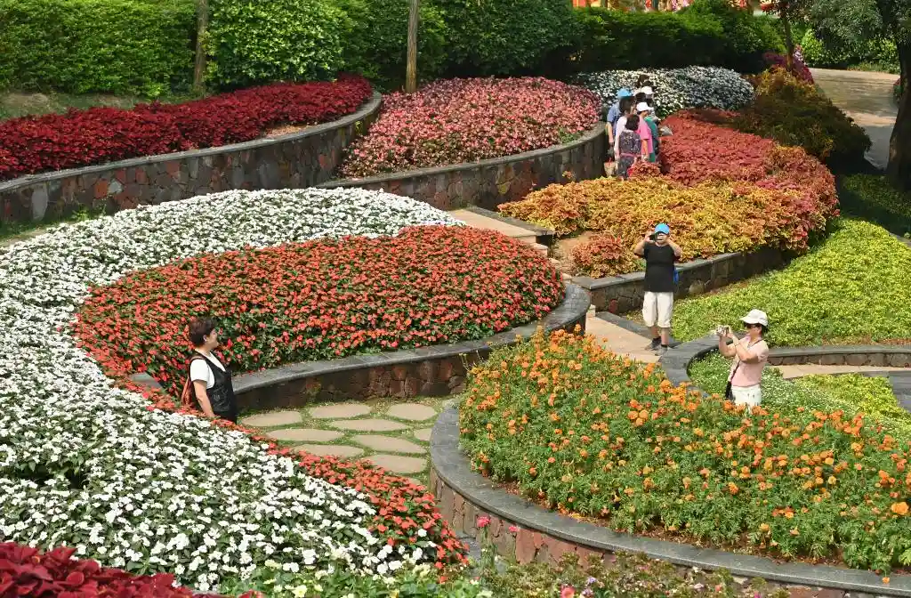 四季如春不打烊！这座城把人间四月天过成了全年限定爆款