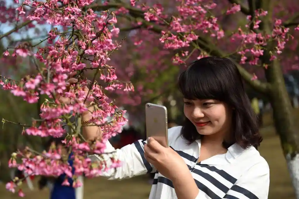 四季如春不打烊！这座城把人间四月天过成了全年限定爆款
