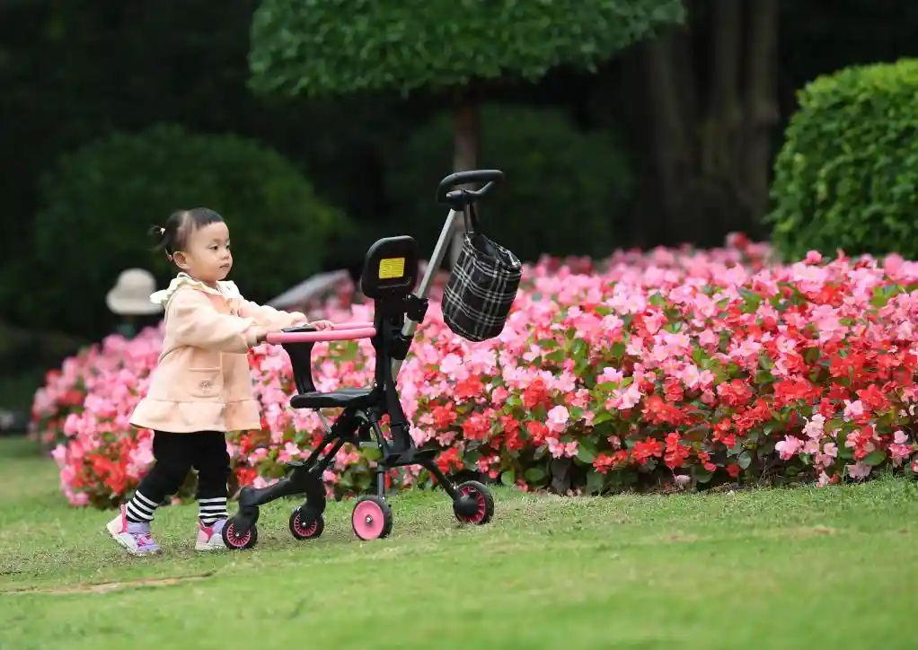 四季如春不打烊！这座城把人间四月天过成了全年限定爆款