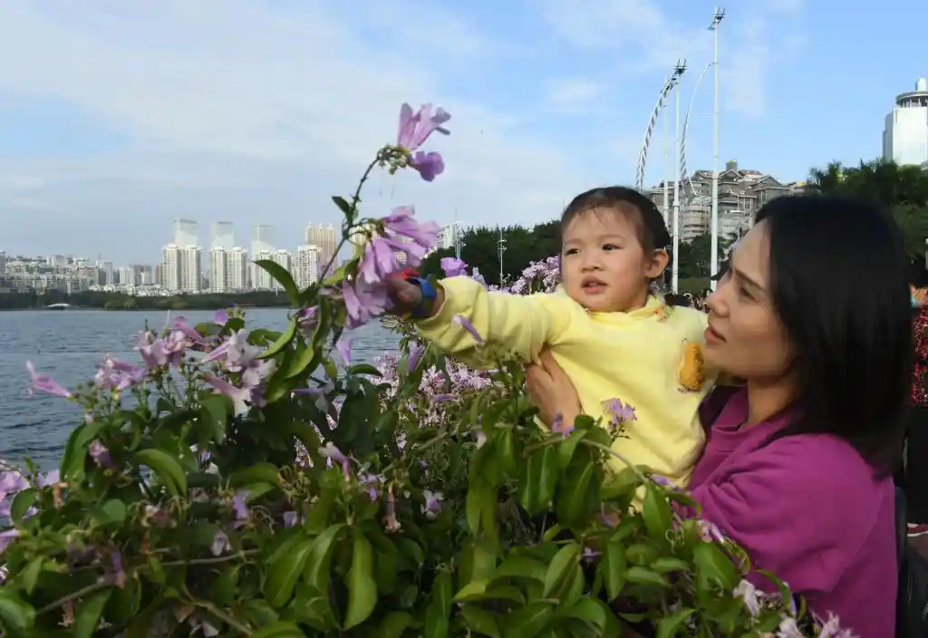 四季如春不打烊！这座城把人间四月天过成了全年限定爆款