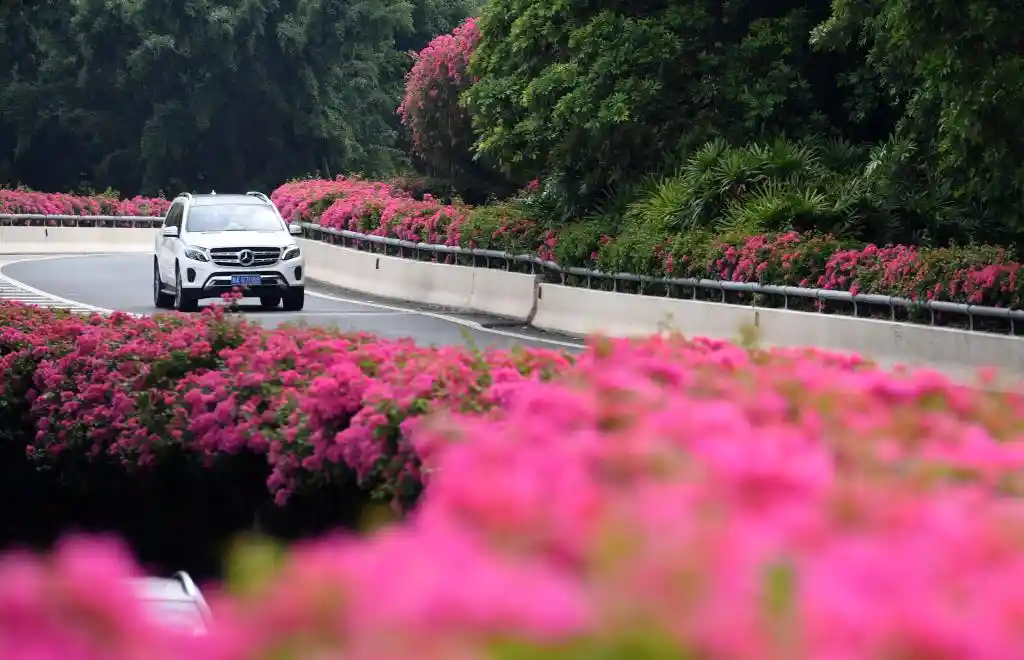四季如春不打烊！这座城把人间四月天过成了全年限定爆款