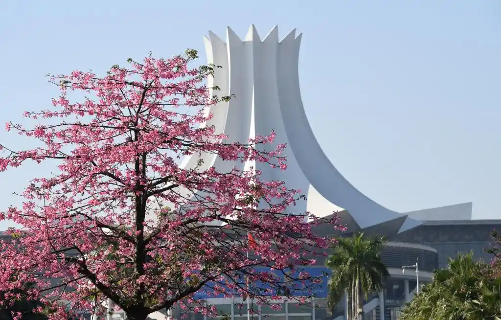 四季如春不打烊！这座城把人间四月天过成了全年限定爆款