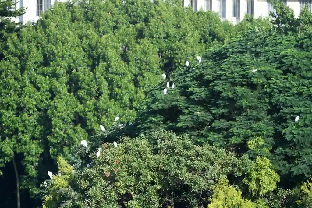 四季如春不打烊！这座城把人间四月天过成了全年限定爆款