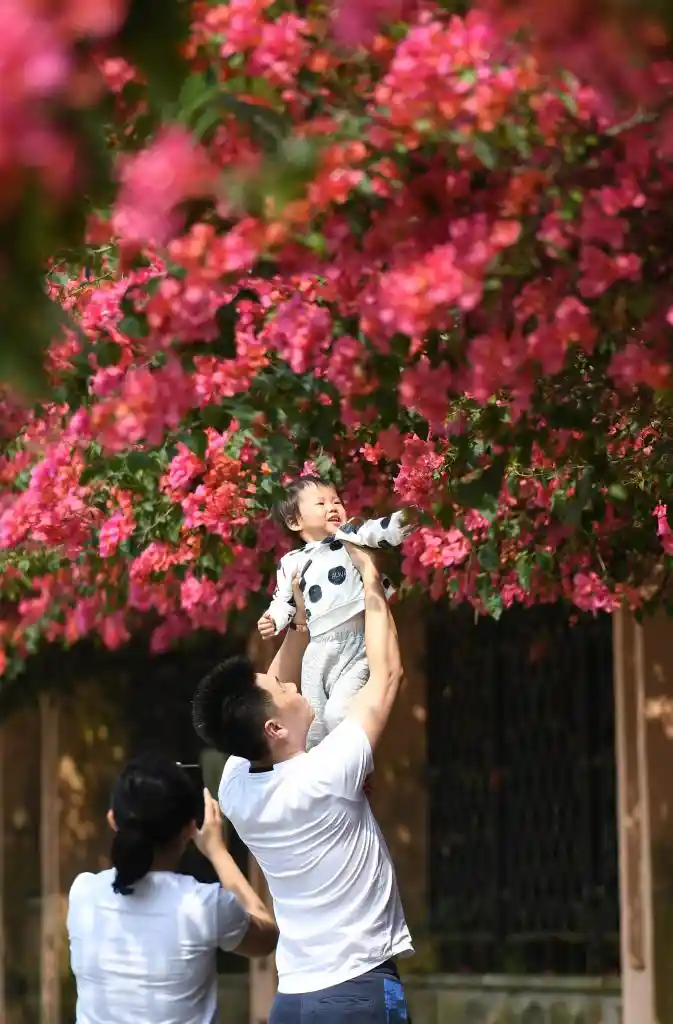 四季如春不打烊！这座城把人间四月天过成了全年限定爆款