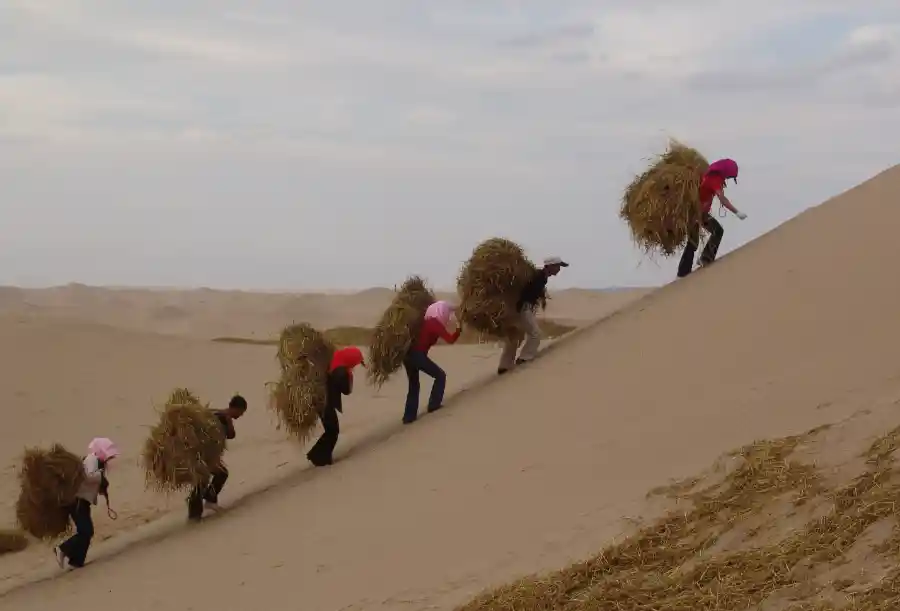 治沙英雄王有德：守护地球的绿色脊梁