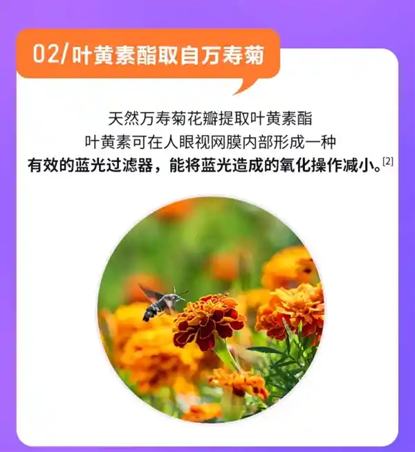 6重营养新突破！黄金搭档蓝莓叶黄素酯片限时14.9元抢购